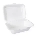 White Bagasse Food Box