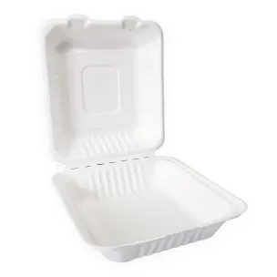 Square White Bagasse Meal Box